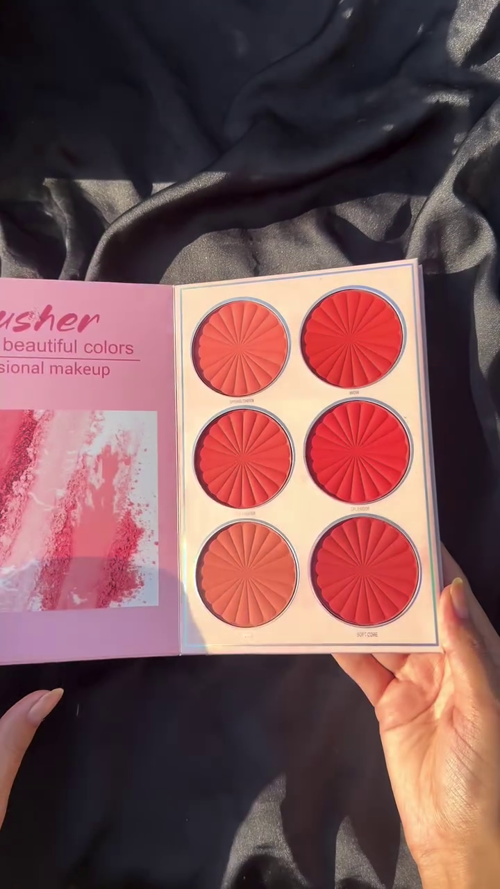 Exclusive Sale NYLI Professional 5 pages Makeup book Palette Lip color, Highlighter, Blusher, Eyeshadow NK7(17M)